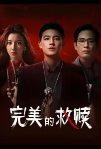 Идеальный подозреваемый (сериал 2025)