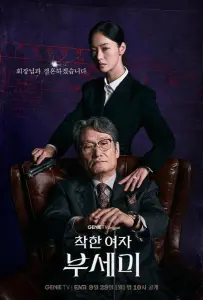 Госпожа Инкогнито / Хорошая женщина Бу Се Ми (сериал 2025)